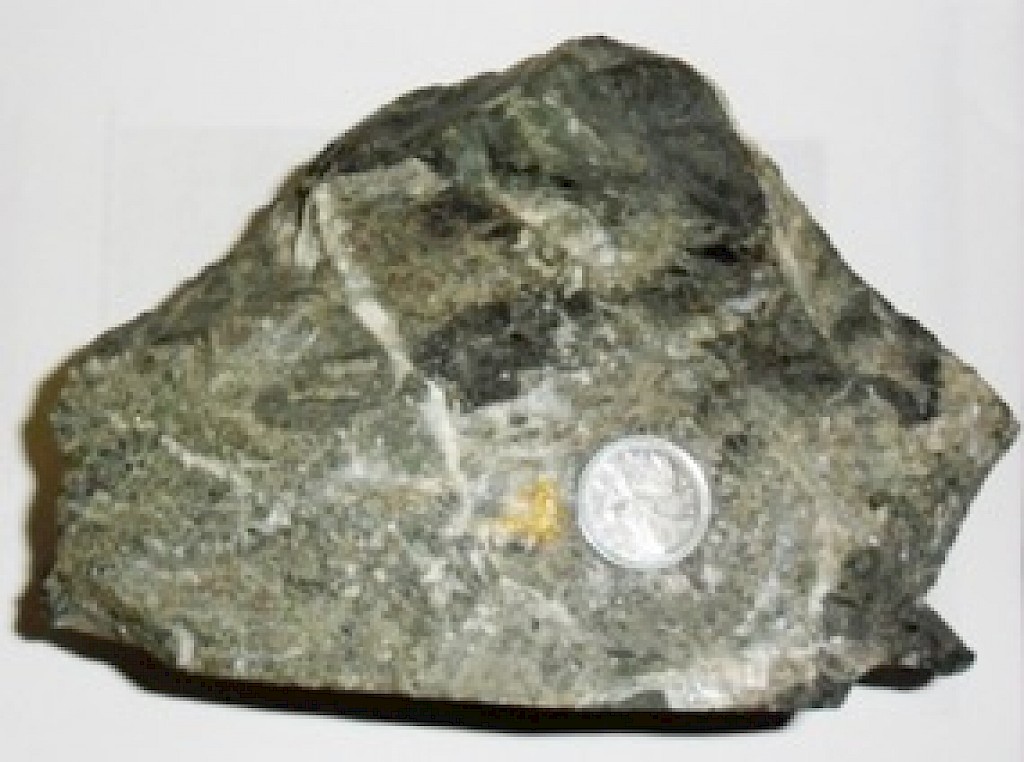 Figure1 Feb6.1024x0